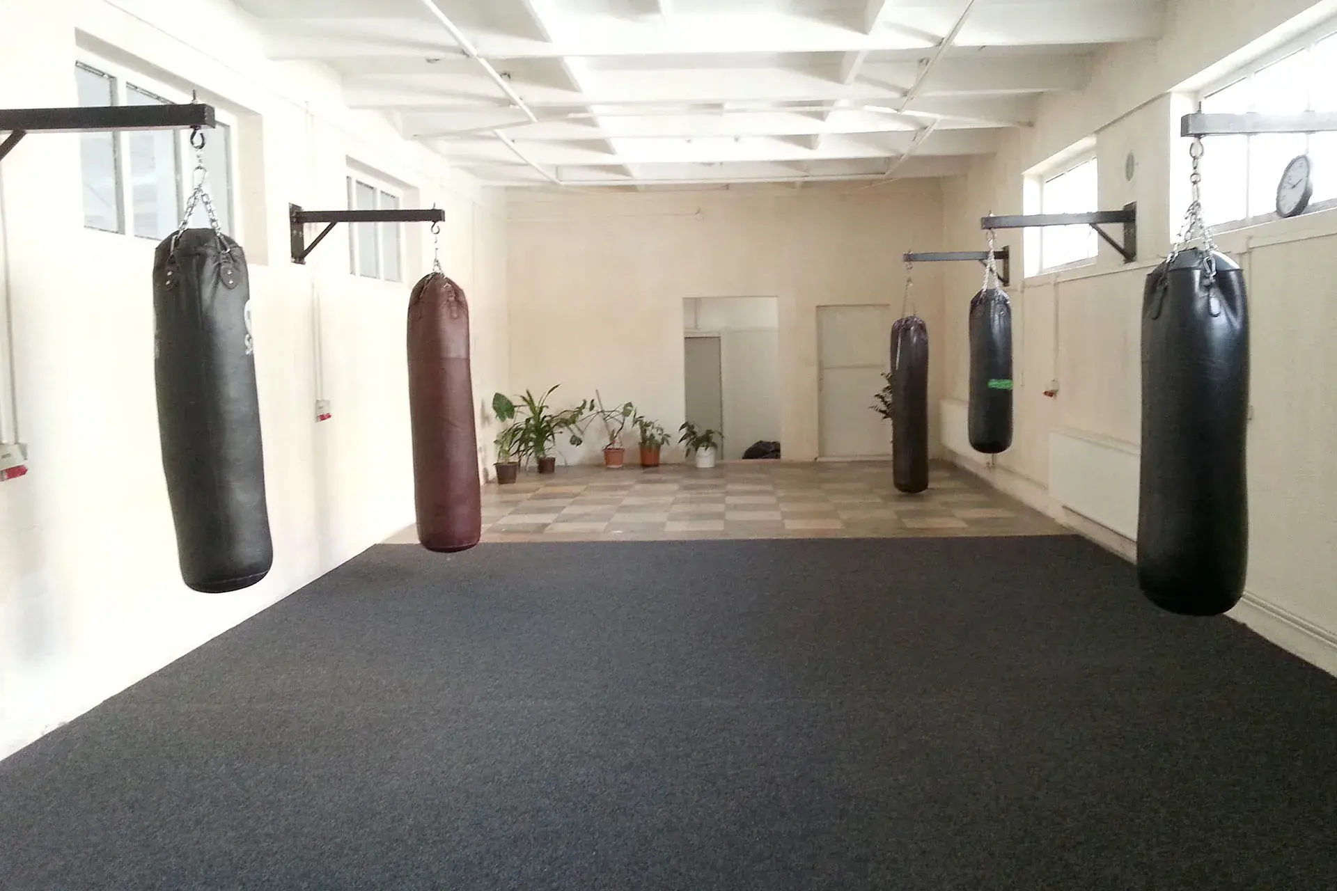 instalacion-tatamis-club-boxeo