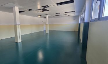 WhatsApp Image 2026-01-12 at 17.08.06