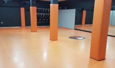 WhatsApp Image 2026-02-20 at 11.50.31